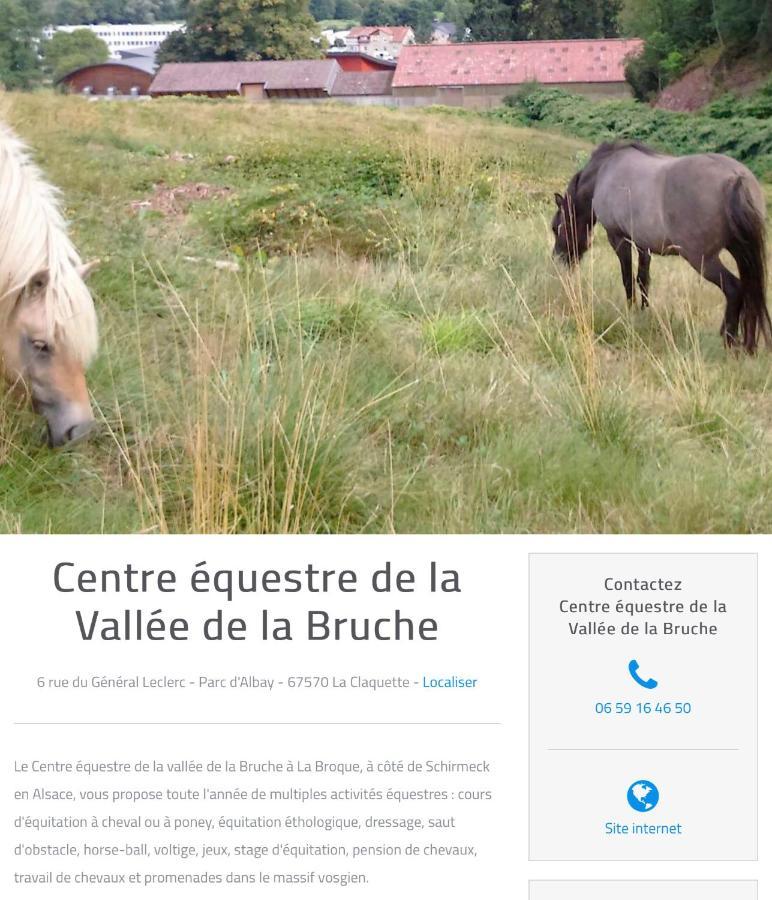 Le Gite Du Chateau Dans Le Centre De Schirmeck Eksteriør billede
